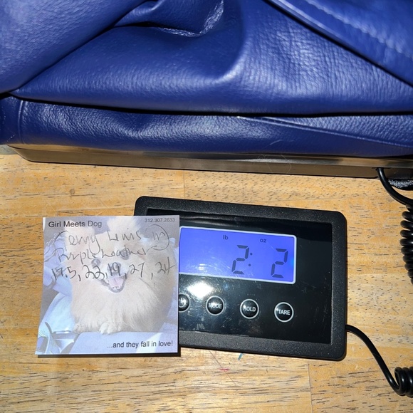 •NWOT VINTAGE |•TERRY LEWIS•| Purple Leather Blazer Jacket Size Medium - Picture 15 of 16